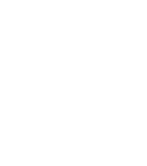 Terra logo